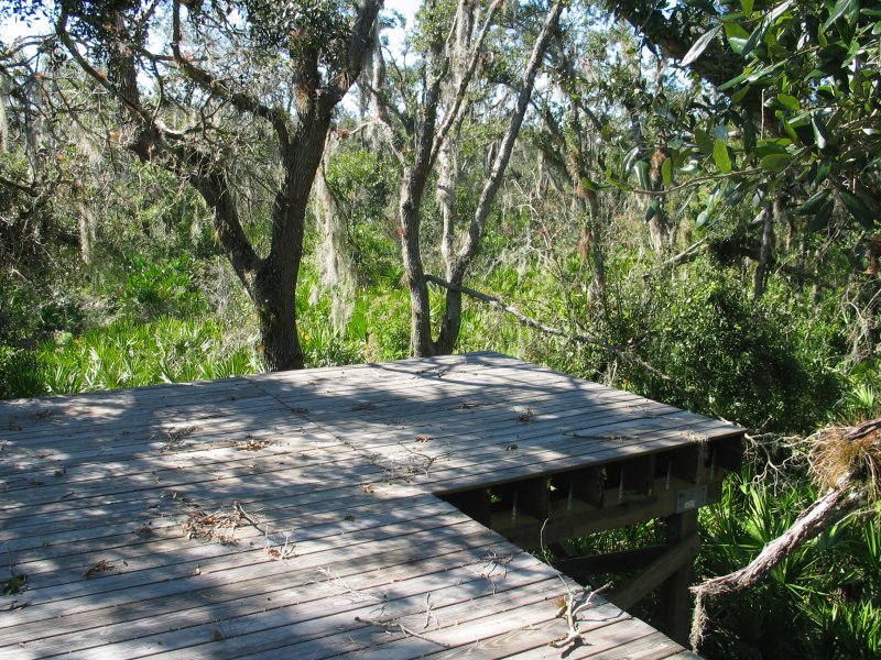 Deck