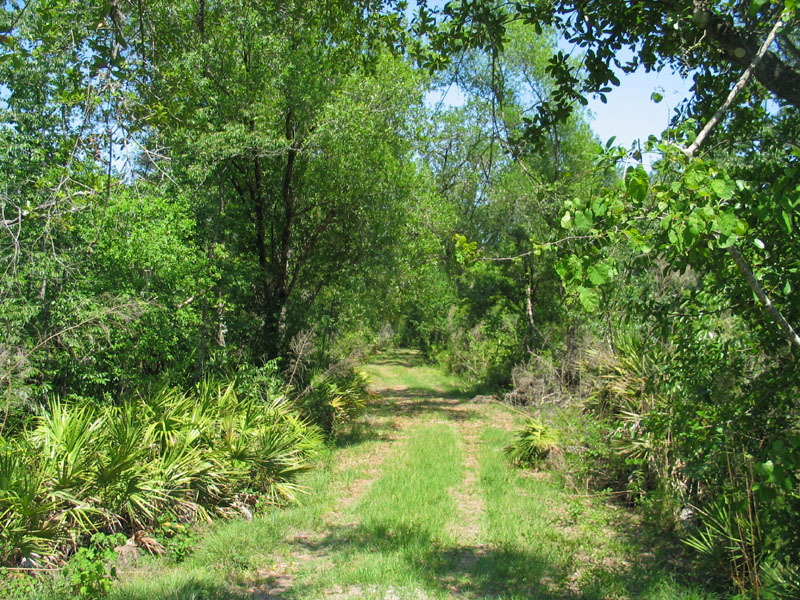 Dry Road