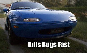 Kills Bugs Fast